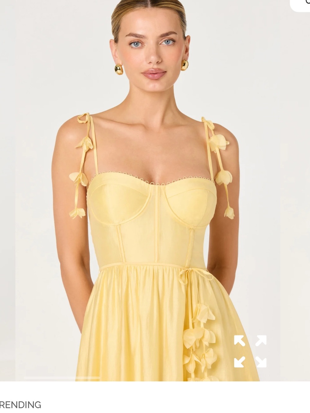Halcyon 3D Flower Appliqué Midi Dress